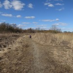 Nu gider Karen ikke vente mere