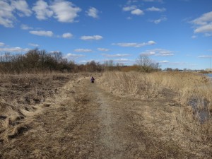 Nu gider Karen ikke vente mere