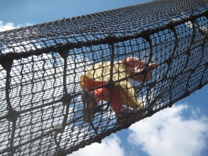 Og så i Randers Regnskov igen