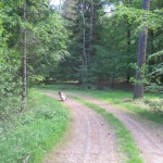 På FFC-jagt i Silkeborg