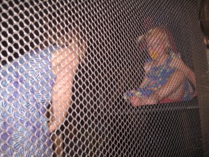 Så mødes de - begge i deres "Canada-kjoler"