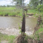 Rester fra oversvømmelserne