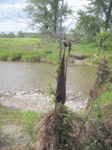 Rester fra oversvømmelserne