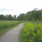 Ellen styrter afsted - selvom vi havde fortalt hende om coyotes