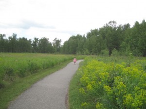 Ellen styrter afsted - selvom vi havde fortalt hende om coyotes