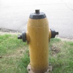 Brandhane - Ellen og Karen gik meget op i at de ikke var røde