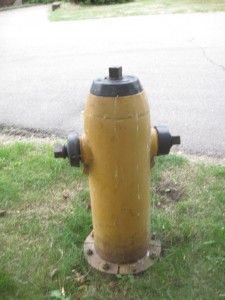 Brandhane - Ellen og Karen gik meget op i at de ikke var røde