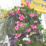 Knap så ægte blomster...