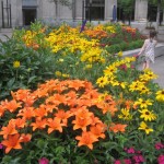 Ja, ja, jeg kan godt lide blomster