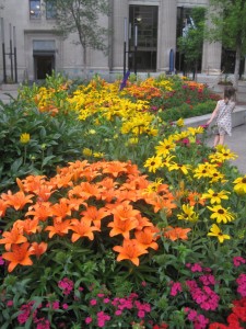 Ja, ja, jeg kan godt lide blomster