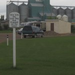 Kan man få et tilsvarende med katte?