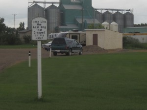 Kan man få et tilsvarende med katte?