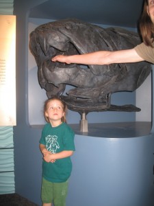 Træls fætter at møde på svømmeturen