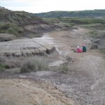 Ungerne ved The Millenium Falcon