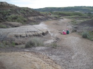 Ungerne ved The Millenium Falcon