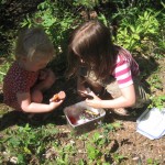 Hvad skal der byttes?