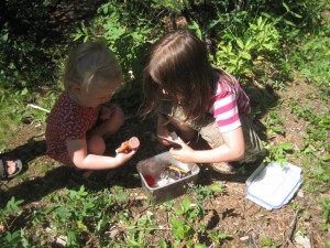 Hvad skal der byttes?