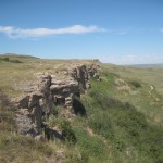 Hvor de drev bisonerne ud over