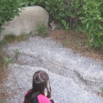 Ellen fandt en kanin (en mountain cottontail)
