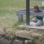 Ellen leger med jordegern