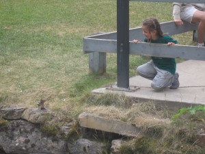 Ellen leger med jordegern