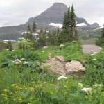 Richardson's Ground Squirrel med Reynolds Mountain i baggrunden