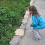 Ellen har altså noget kørende med de jordegern