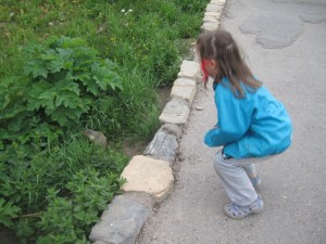 Ellen har altså noget kørende med de jordegern