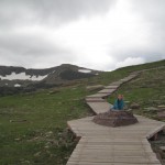 Den lille havfrue på land